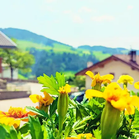 Appartamento Vidora - Dolomites Escape In Alpe Di Siusi Fiè
